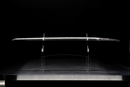 Ikeda Kazuhide Nyudo Ryuken Katana Katana Japonais