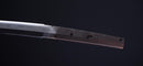 Sabre Katana Japonais Antique par l'école Uda (Hozon)