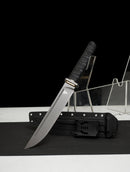 Épée Courte Stealth Hawk — Titanium Edition — AUS-8, Poignée noire texturée, fourreau noir moulé, garde avec anneau doré.