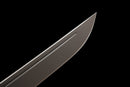 Épée Courte Stealth Hawk — Titanium Edition — AUS-8, Poignée noire texturée, fourreau noir moulé, garde avec anneau doré.