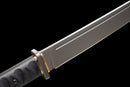 Épée Courte Stealth Hawk — Titanium Edition — AUS-8, Poignée noire texturée, fourreau noir moulé, garde avec anneau doré.