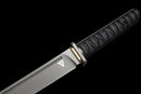 Épée Courte Stealth Hawk — Titanium Edition — AUS-8, Poignée noire texturée, fourreau noir moulé, garde avec anneau doré.