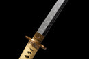 Katana Kogane Ryu 黄金龍