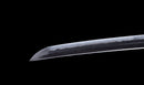 Antique Japanese Katana Sword with Tombo Dragonfly Menuki & Sansui Landscape Tsuba — Tamahagane
