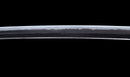 Antique Japanese Katana Sword with Tombo Dragonfly Menuki & Sansui Landscape Tsuba — Tamahagane