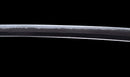 Antique Japanese Katana Sword with Tombo Dragonfly Menuki & Sansui Landscape Tsuba — Tamahagane