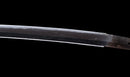 Antique Japanese Katana Sword with Tombo Dragonfly Menuki & Sansui Landscape Tsuba — Tamahagane