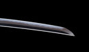 Antique Japanese Katana Sword with Tombo Dragonfly Menuki & Sansui Landscape Tsuba — Tamahagane