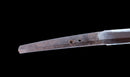 Antique Japanese Katana Sword with Tombo Dragonfly Menuki & Sansui Landscape Tsuba — Tamahagane