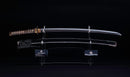 Antique Japanese Katana Sword with Tombo Dragonfly Menuki & Sansui Landscape Tsuba — Tamahagane