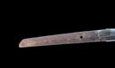 Antique Japanese Katana Sword by Kaifu with Double Hozon and Myōchin Gunbai Tsuba — Tamahagane