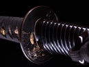 Sabre Japonais Antique Katana, Montures en Shakudo et Saya de Style Inrō