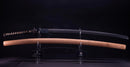 Sabre Japonais Antique Katana par Jumyo (Hozon)