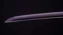 Sabre Japonais Antique Katana par Jumyo (Hozon)