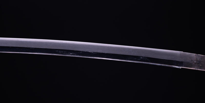 Sabre Katana Japonais Antique avec un Koshirae Inspiré par la Mer