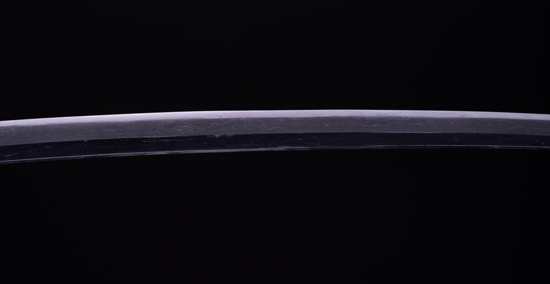 Sabre Katana Japonais Antique avec un Koshirae Inspiré par la Mer