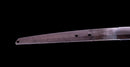 Sabre Antique Katana Japonais signé Hitachi no Kami Muneshige, NBTHK Hozon