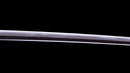 Sabre Antique Katana Japonais signé Hitachi no Kami Muneshige, NBTHK Hozon