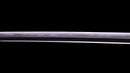 Sabre Antique Katana Japonais signé Hitachi no Kami Muneshige, NBTHK Hozon