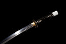 Katana Shirokami — Acier T10, Manche noir, dragon, fourreau noir, cordon blanc, embout argenté